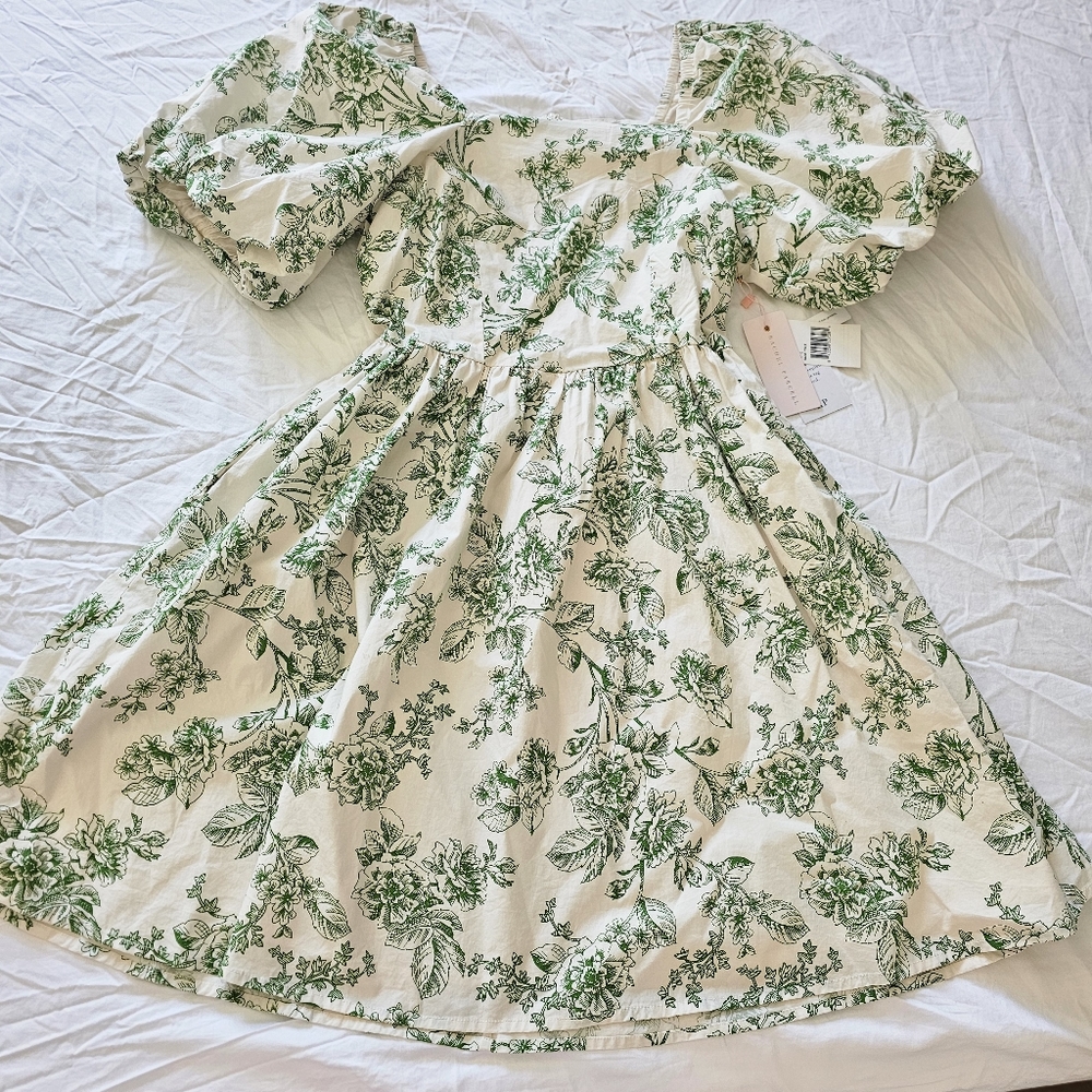 Rachel Parcell size 6 green dress fits like a size 8 sage toile sundress - Picture 2 of 12